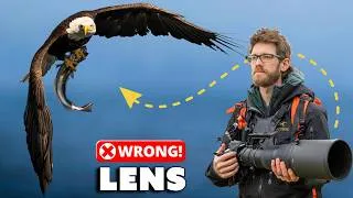 Thumbnail: You're Using the Wrong Lens for Wildlife Photography