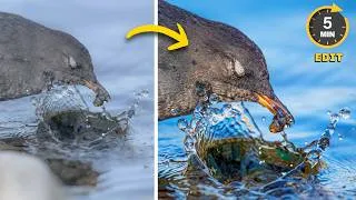 Thumbnail: The Secret to More Dramatic Wildlife Photos