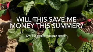 Thumbnail: Trying a GreenStalk Garden at 51 🌱 Growing Herbs, Strawberries & Hoping To Save Money