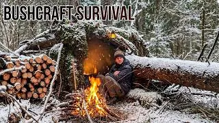 Thumbnail: My Top 5 Survival Shelters for Cold Forest Conditions. Bushcraft Survival Shelter. ASMR