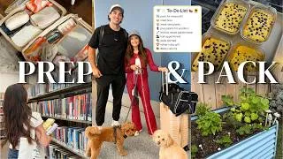 Thumbnail: weekly reset before vacation | home projects, meal prep & pack with me