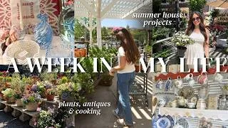 Thumbnail: prepping for our home makeover | antique shopping, nursery visits & home projects