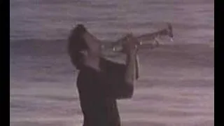 Thumbnail: Herb Alpert - Rise