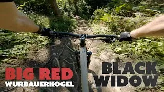 Thumbnail: Wurbauerkogel | Big Red - Black Widow | 2020