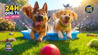 Thumbnail: 24 Hours Dog Cartoon 🦮🎨 Fun Adventure Videos | Gentle Anti-Anxiety TV for Dogs Home Alone