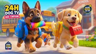 Thumbnail: 24 Hour Dog Cartoon 🦮🎒 Playful Puppy Adventure | Fun Dog TV for Dogs Home Alone