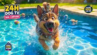 Thumbnail: 24 Hours Dog Cartoon 🐕🏠 Funny Videos & Relaxing Music | Dog Entertainment TV for Dogs Home Alone