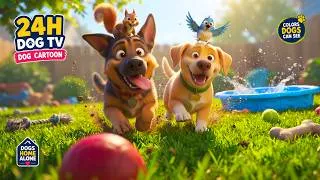 Thumbnail: 24 Hours Dog Cartoon 🐿️🐦 Fun & Entertaining Videos for Dogs Home Alone | Colors Dogs Can See