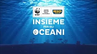 Thumbnail: Rio Mare & WWF | La bambina e l’oceano | Coming soon