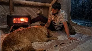Thumbnail: Heavy Rain Camping in the Forest | Cozy Tent, Fire & My Dog Max ⛈️🌧️