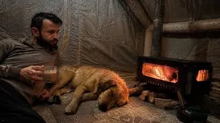 Thumbnail: Cozy Rain Camping with My Dog Max 🌧️🔥 Tent, Food & Peace