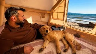 Thumbnail: Solo Camping with My Dog Max | Fishing & Campfire 🔥🐶