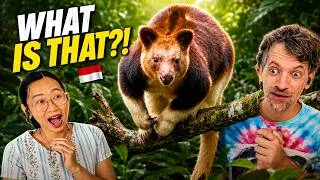 Thumbnail: Papua, Indonesia Has Animals We’ve Never Seen Before 🇮🇩