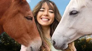 Thumbnail: the ranch that changed my life