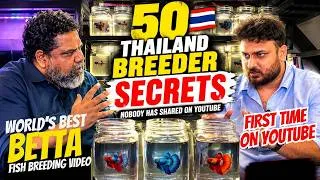 Thumbnail: World's BEST BETTA Fish Breeding Video50 THAILAND BREEDER SECRETS Nobody Has Shared on YouTube 4K