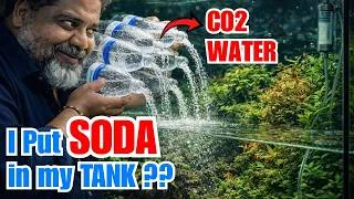 Thumbnail: ₹15/- SODA VS  ₹15,000/- CO2 Setup? DID Takashi Amano Added Soda in His Planted Aquarium.