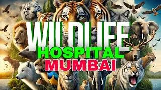 Thumbnail: What Happens Inside MUMBAI ZOO Animal Hospital? WILDLIFE ZOO Hospital. RaniBaug, Byculla Mumbai.