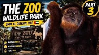 Thumbnail: I Found an Amazing Orangutan in UAE | The Zoo Wildlife Park Umm Al Quwain | Part 3