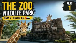 Thumbnail: The Zoo Wildlife Park Umm Al Quwain UAE 🇦🇪 | Full Zoo Tour 2026 | Part 1
