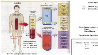 Thumbnail: Medicine PlasmaPheresis Indications Plasma Exchange Need Treatment Blood PYQ