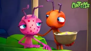 Thumbnail: Good Soup 🍲 🐜 Antiks Storytime!