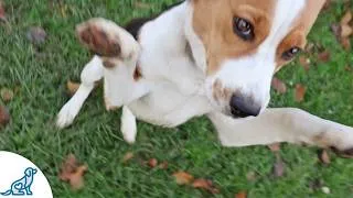 Thumbnail: 3 People Who Are Ruining Your Jumping Training
