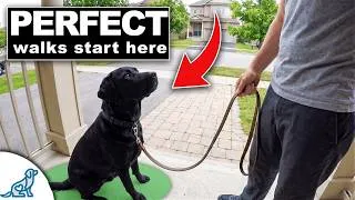 Thumbnail: The "Great Reset" For Your Leash Walking Training