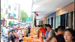 Thumbnail: VIETNAMESE MARKET | BUSTLING MID-JULY AT LANG SON ROAST PORK MARKET