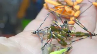 Thumbnail: Tying 18 Flies for My Next Fly Fishing Class