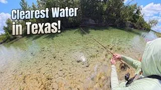 Thumbnail: I Only Had 1 Hour to Fish, Before Class