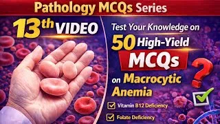Thumbnail: 50 MCQs on Macrocytic Anemia | Vitamin B12 & Folate | Pathology MCQs#quiz #mcq #pathologymcqs 