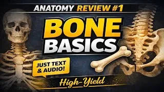 Thumbnail: Human Skeletal System | Bone Types & Clinical Disorders Explained