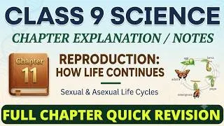 Thumbnail: Class 9 Reproduction – How Life Continues Chapter Explanation - Notes  | NCEW NCERT Class 9 Science