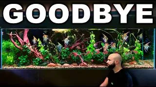 Thumbnail: NEW STUDIO PREP: Breaking Down My 8ft 1000L Aquarium