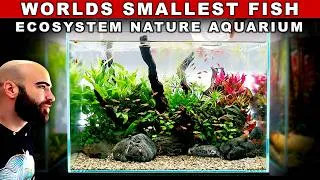 Thumbnail: World's Smallest Fish in Nature Aquarium Ecosystem Build (No Co2 Nano Tank Aquascape Tutorial)