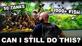Thumbnail: A Realistic Day In My 50 Aquarium, 1000's of Fish Studio