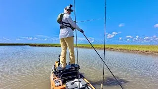 Thumbnail: Thank goodness I turned around to see this | These fish are too big for my bag