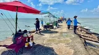 Thumbnail: Catching fish with live shrimp and the umbrella setup: Surfside Jetty