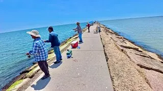 Thumbnail: Why they were catching fish and I wasn't | Local fisherman helped me get dinner (S9 E31)