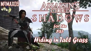 Thumbnail: Assassin's Creed Shadows-PS5-Hiding in Tall Grass