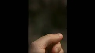 Thumbnail: Whats on my hands ?