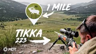 Thumbnail: Can You Shoot a 223 At 1 Mile?