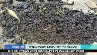 Thumbnail: Kotor! Pesisir Pantai Tercemar Limbah Hitam, Diduga dari Minyak Mentah