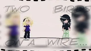 Thumbnail: Two birds on a wire... gcmv