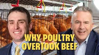 Thumbnail: Why Poultry Overtook Beef: The Innovation Gap