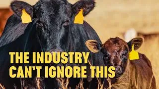 Thumbnail: Why Beef Quality and Marbling Must Remain the Priority