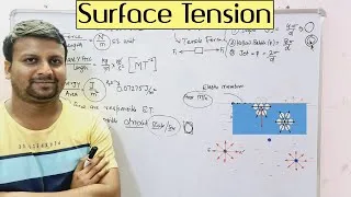 Thumbnail: Surface Tension (हिंदी में )