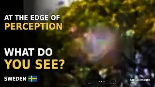 Thumbnail: Caught on Camera: Could Orbs Be Craft & UAP “Dragons” Their Drones? | Sweden 🇸🇪 🛸🚁🤔