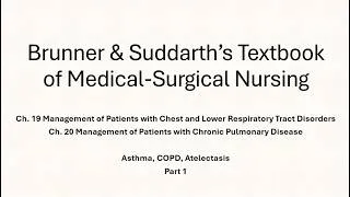 Thumbnail: Ch 19 & 20 Respiratory Part 1