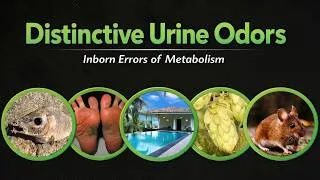 Thumbnail: Distinctive Urine Odors: Inborn Errors of Metabolism